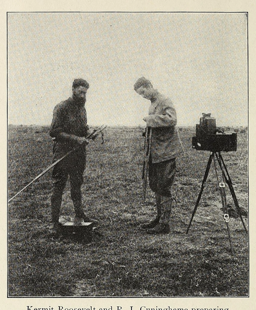 An illustration from African game trails, 1909, leaf 14