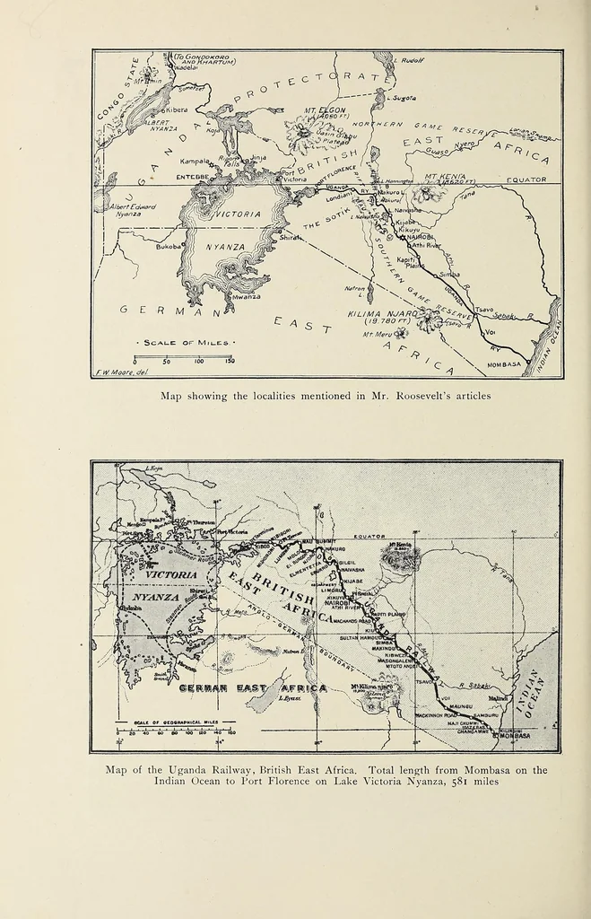 An illustration from African game trails, 1909, leaf 82