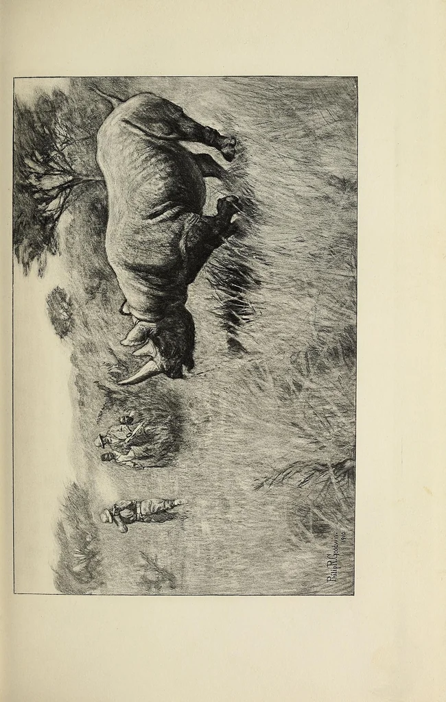 An illustration from African game trails : an account of the African wanderings of an American hunter-naturalist, 1910, leaf 129