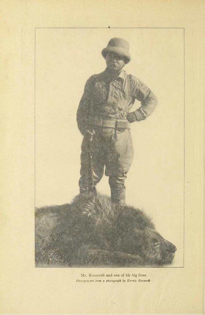 An illustration from African game trails : an account of the African wanderings of an American hunter-naturalist, 1910, leaf 16