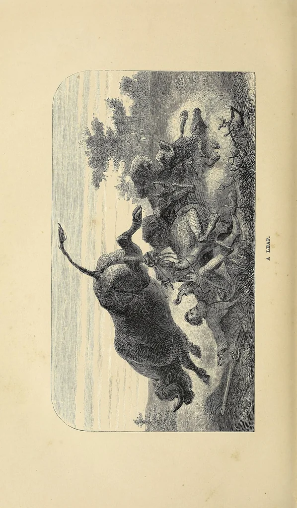An illustration from African hunting, from Natal to the Zambesi : including Lake Ngami, the Kalahari Desert, &c. From 1852 to 1860, 1863, leaf 174