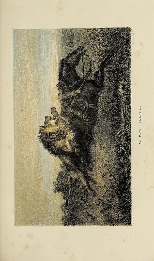 An illustration from African hunting, from Natal to the Zambesi : including Lake Ngami, the Kalahari Desert, &c. From 1852 to 1860, 1863, leaf 481