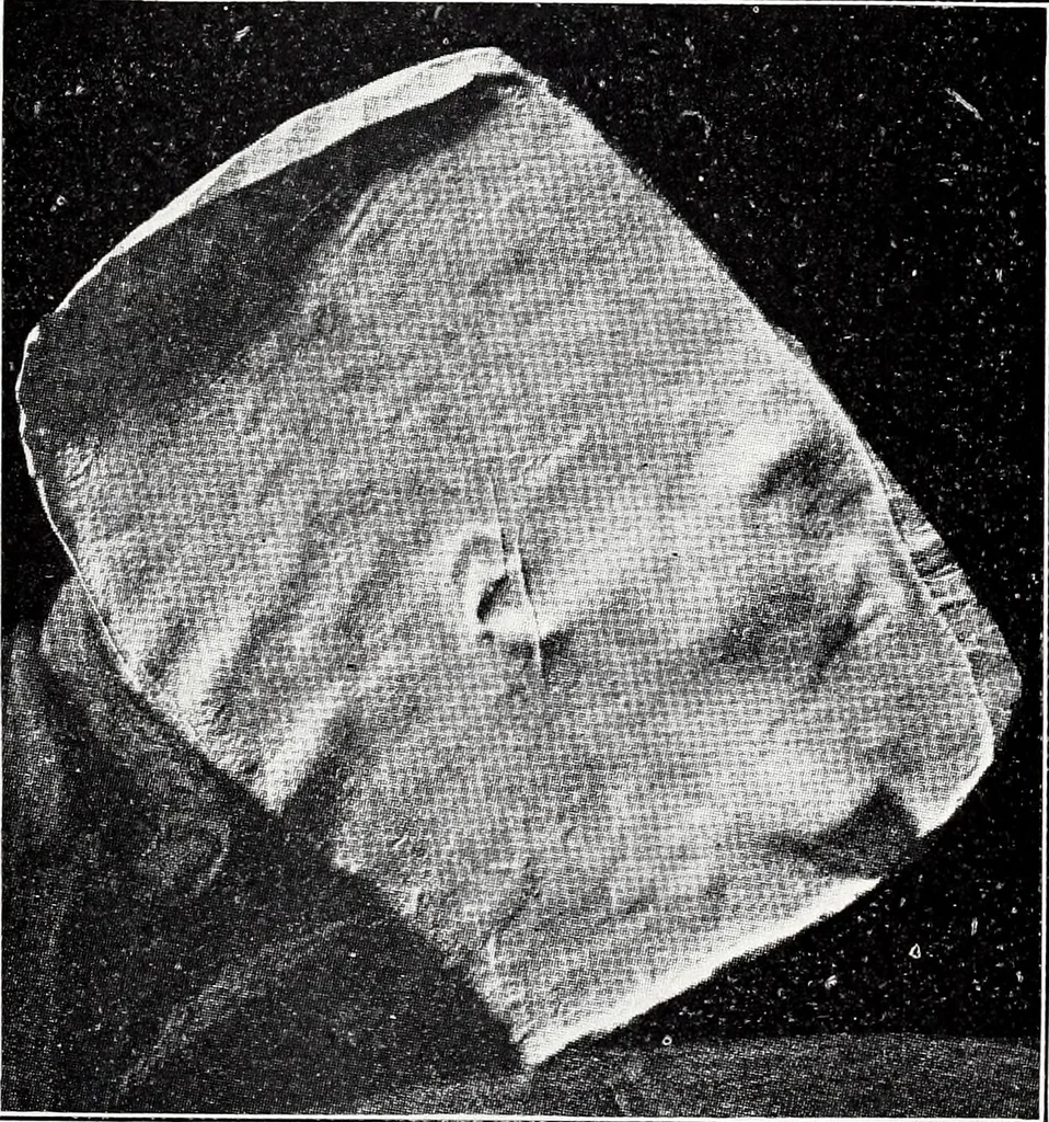 An illustration from After death--what? : Spiritistic phenomena and their interpretation, 1909, leaf 102