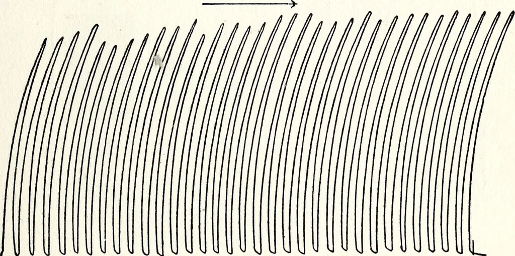 An illustration from After death--what? : Spiritistic phenomena and their interpretation, 1909, leaf 110