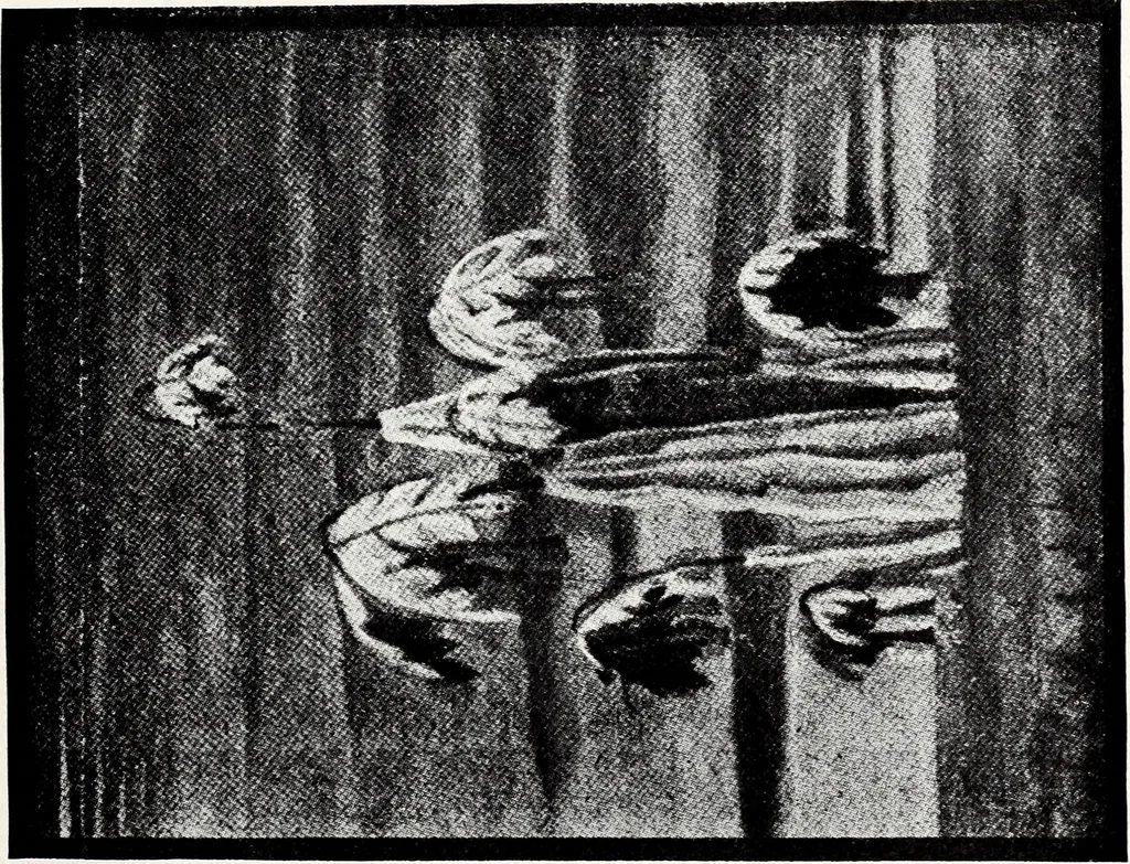An illustration from After death--what? : Spiritistic phenomena and their interpretation, 1909, leaf 172