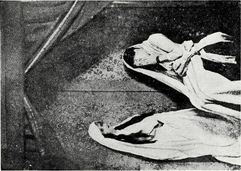 An illustration from After death--what? : Spiritistic phenomena and their interpretation, 1909, leaf 256