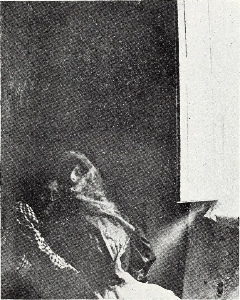 An illustration from After death--what? : Spiritistic phenomena and their interpretation, 1909, leaf 332