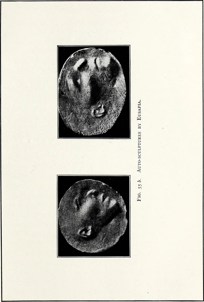 An illustration from After death--what? : Spiritistic phenomena and their interpretation, 1909, leaf 348
