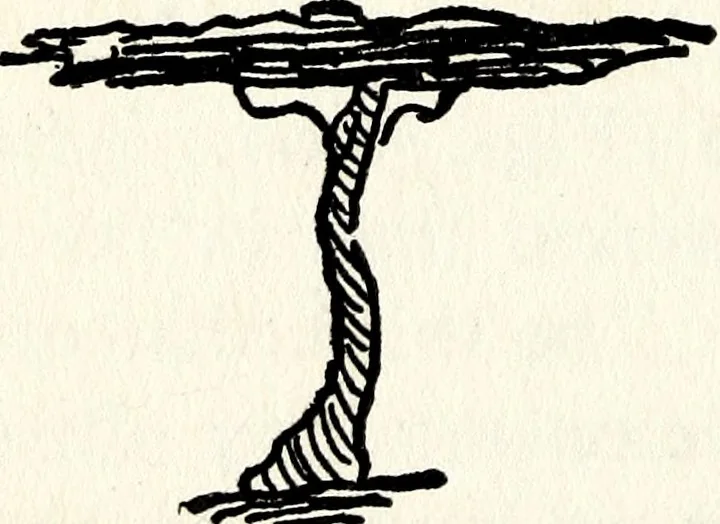 An illustration from After death--what? : Spiritistic phenomena and their interpretation, 1909, leaf 35