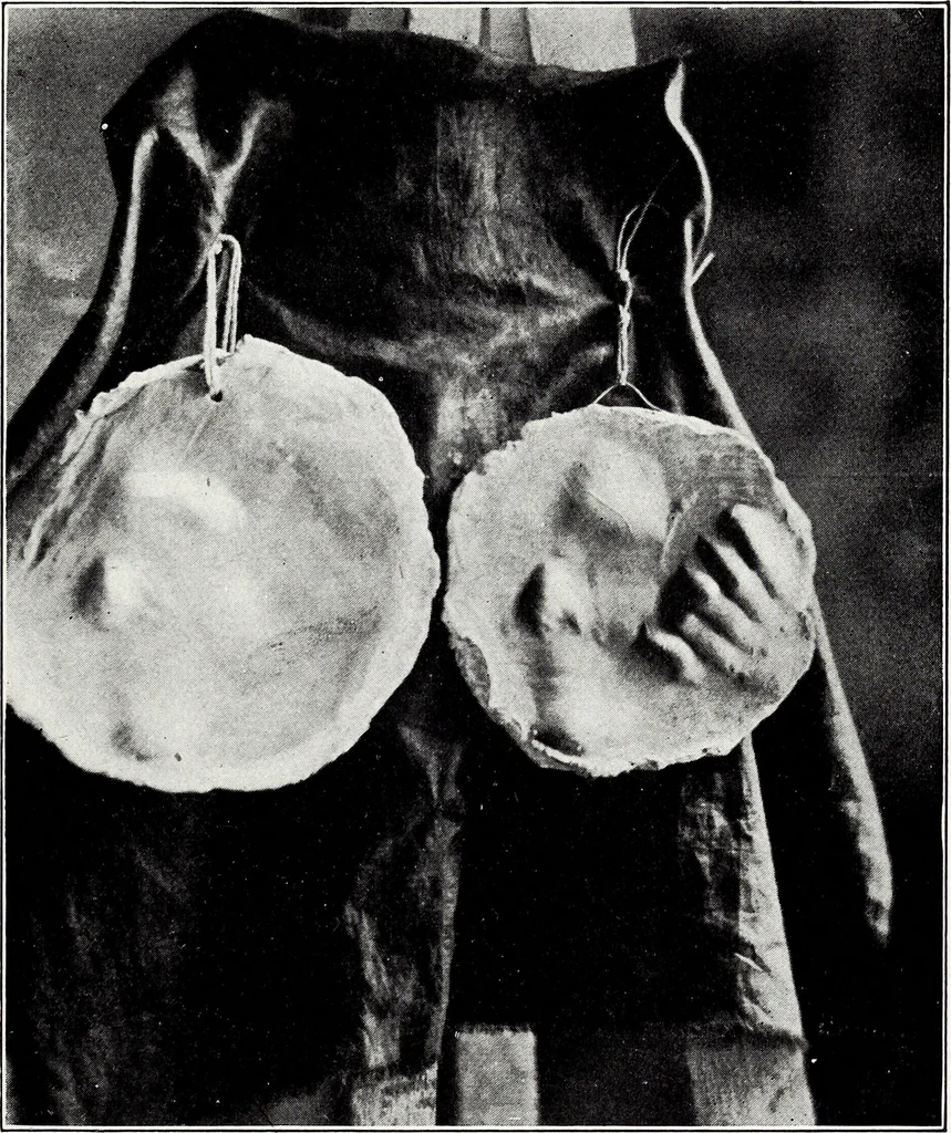 An illustration from After death--what? : Spiritistic phenomena and their interpretation, 1909, leaf 98