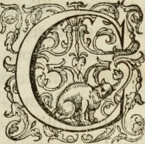 An illustration from Agathiae historici & poëtae eximij, De imperio et rebvs gestis Ivstiniani imperatoris, libri qvinqve:, 1594, leaf 10