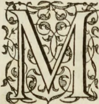 An illustration from Agathiae historici & poëtae eximij, De imperio et rebvs gestis Ivstiniani imperatoris, libri qvinqve:, 1594, leaf 192