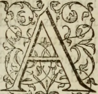 An illustration from Agathiae historici & poëtae eximij, De imperio et rebvs gestis Ivstiniani imperatoris, libri qvinqve:, 1594, leaf 228