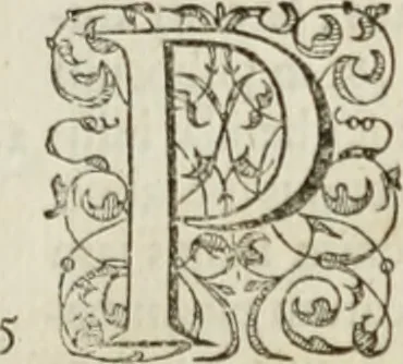 An illustration from Agathiae historici & poëtae eximij, De imperio et rebvs gestis Ivstiniani imperatoris, libri qvinqve:, 1594, leaf 264