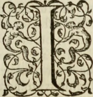 An illustration from Agathiae historici & poëtae eximij, De imperio et rebvs gestis Ivstiniani imperatoris, libri qvinqve:, 1594, leaf 292