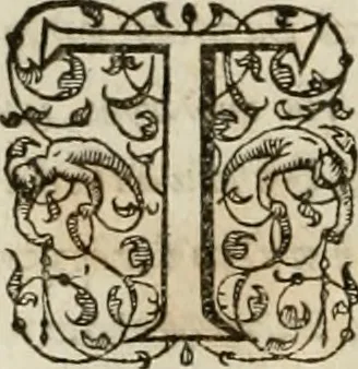 An illustration from Agathiae historici & poëtae eximij, De imperio et rebvs gestis Ivstiniani imperatoris, libri qvinqve:, 1594, leaf 91