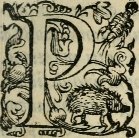 An illustration from Agnella : comedia nuoua, 1585, leaf 10