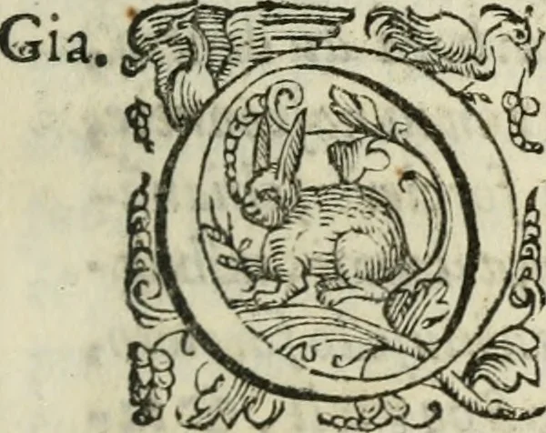 An illustration from Agnella : comedia nuoua, 1585, leaf 114