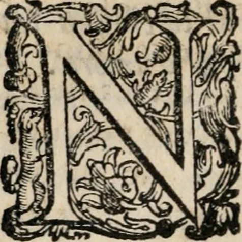 An illustration from Agnella : comedia nuoua, 1585, leaf 15