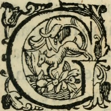 An illustration from Agnella : comedia nuoua, 1585, leaf 6