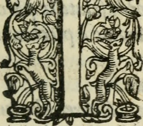 An illustration from Agnella : comedia nuoua, 1585, leaf 96