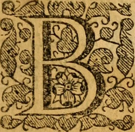 An illustration from Aime at an up-shot for infant baptisme by the good will of Christ, as Priest, Prophet and King, to fill the earth with his glory, 1653, leaf 142