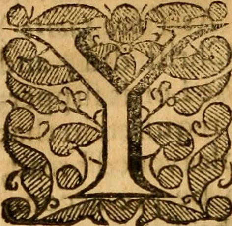 An illustration from Aime at an up-shot for infant baptisme by the good will of Christ, as Priest, Prophet and King, to fill the earth with his glory, 1653, leaf 157