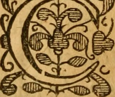 An illustration from Aime at an up-shot for infant baptisme by the good will of Christ, as Priest, Prophet and King, to fill the earth with his glory, 1653, leaf 193