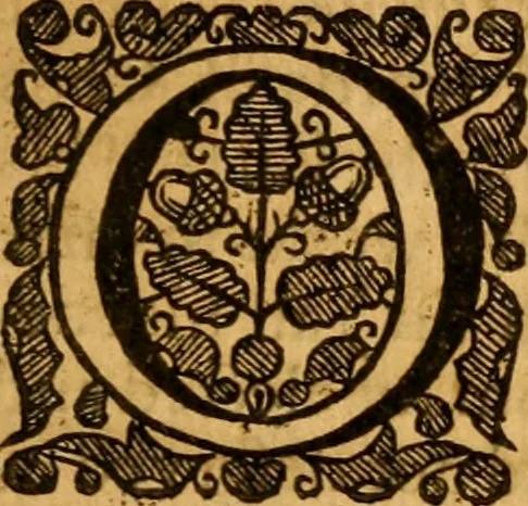 An illustration from Aime at an up-shot for infant baptisme by the good will of Christ, as Priest, Prophet and King, to fill the earth with his glory, 1653, leaf 214