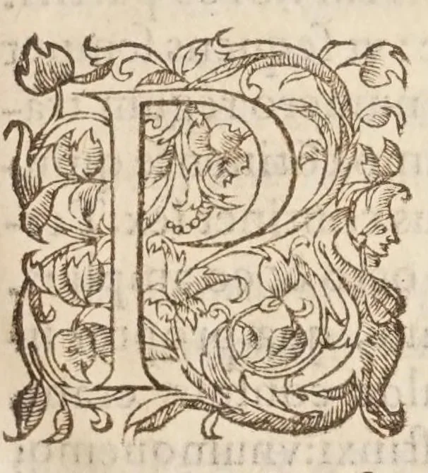 An illustration from Aimoini monachi, qui antea Annonii nomine editus est, Historiae Francorum lib. V : ex veterib. exemplaribus multò emēdatiores : cum indice copiosissimo, qui etiam locorum communium ac epitomes vicem supplet, 1567, leaf 15