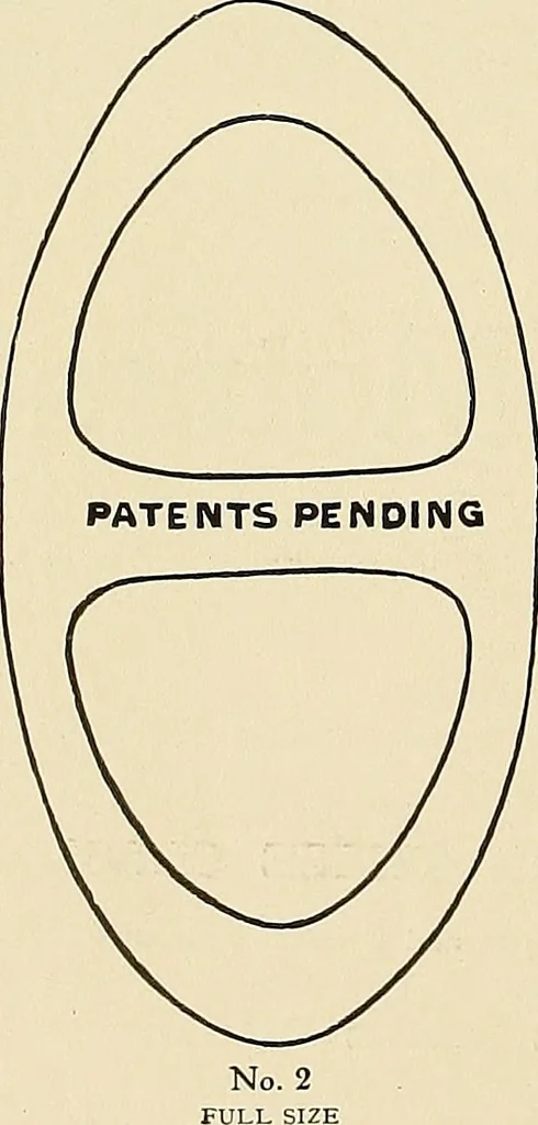 An illustration from Aircraft, 1910, leaf 101