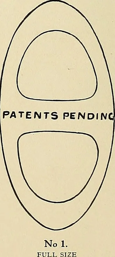 An illustration from Aircraft, 1910, leaf 101