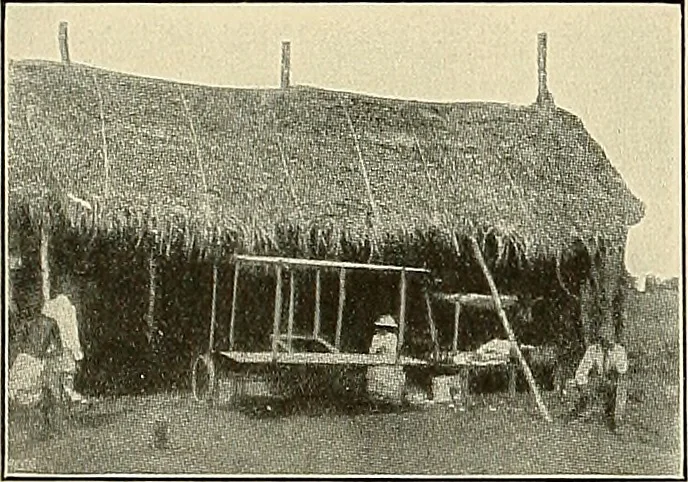 An illustration from Aircraft, 1910, leaf 123