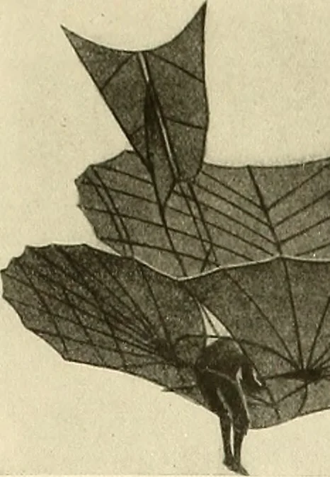 An illustration from Aircraft, 1910, leaf 20