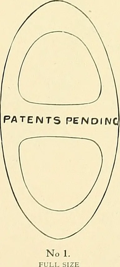 An illustration from Aircraft, 1910, leaf 232