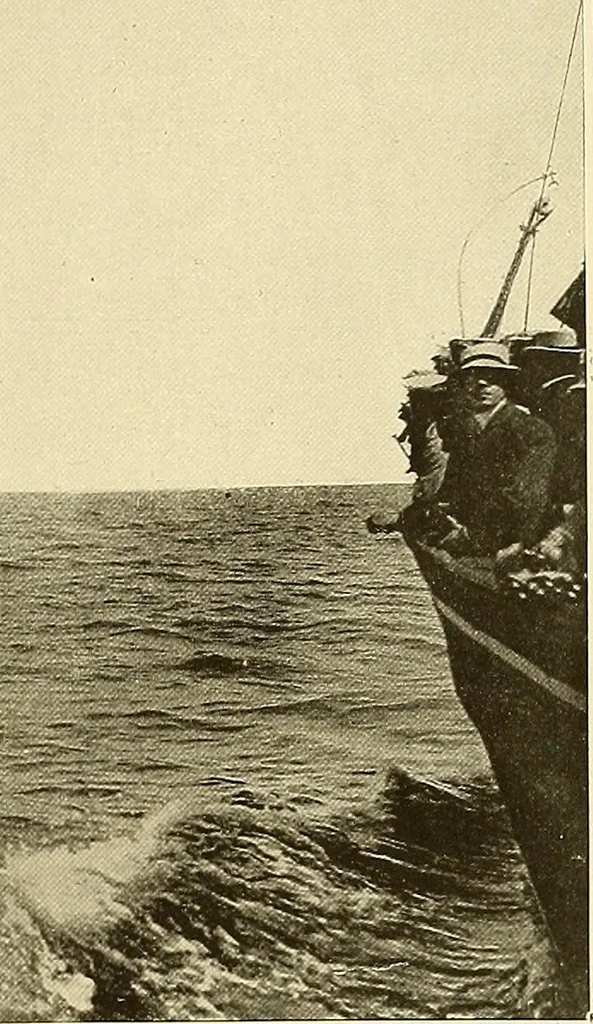 An illustration from Aircraft, 1910, leaf 260