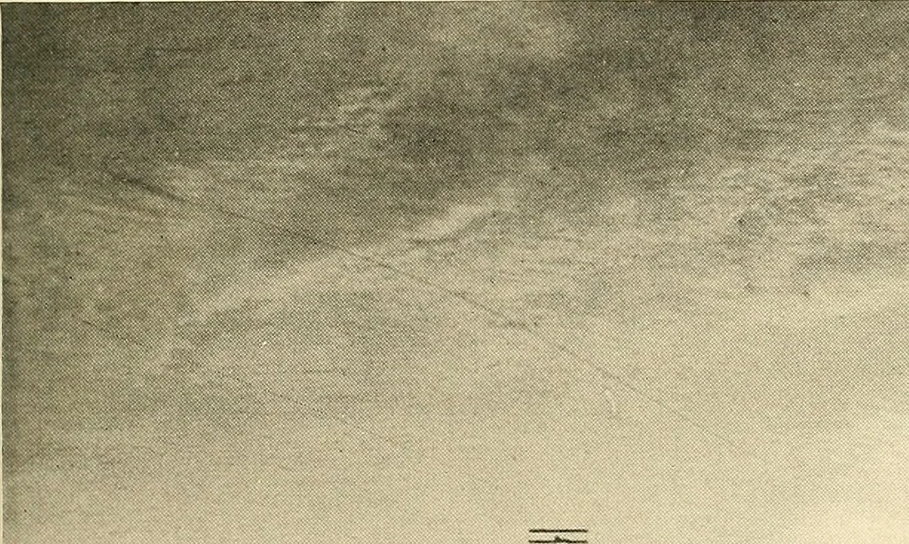 An illustration from Aircraft, 1910, leaf 312