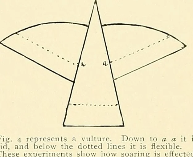 An illustration from Aircraft, 1910, leaf 40