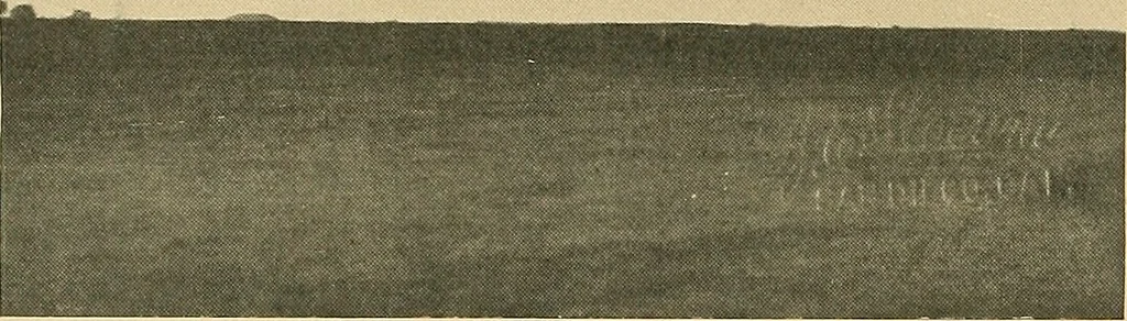 An illustration from Aircraft, 1910, leaf 431
