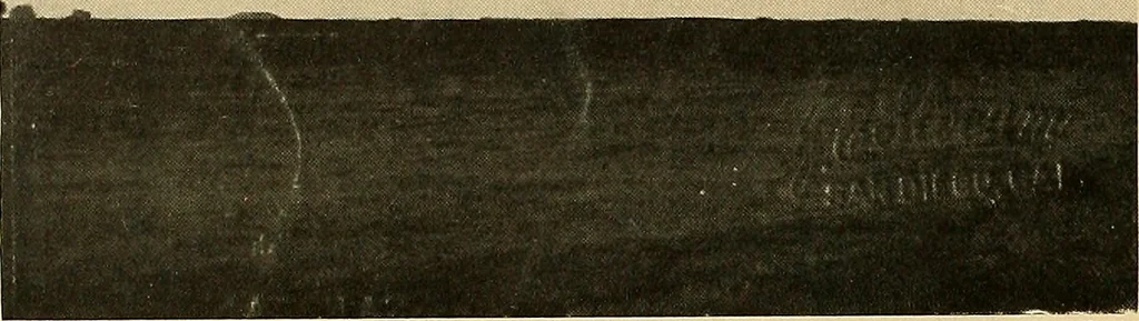 An illustration from Aircraft, 1910, leaf 467