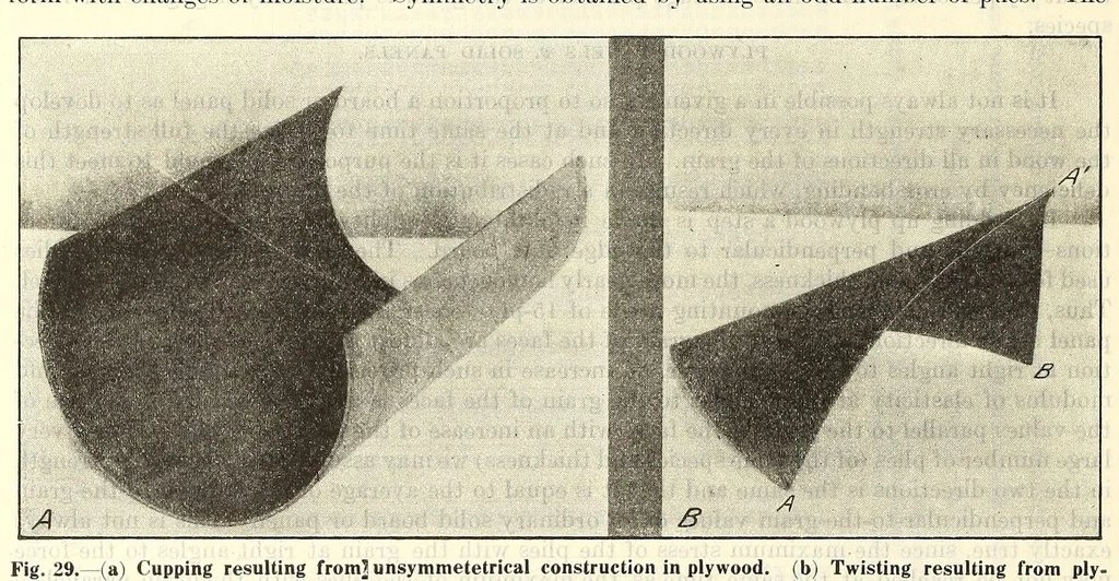 An illustration from Aircraft design data .., 1919, leaf 338