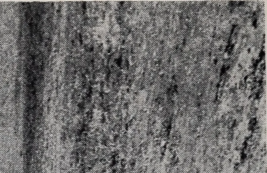 An illustration from Airfare of to-day and of the future, 1918, leaf 9