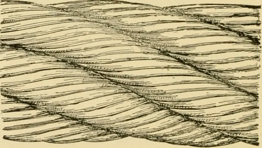 An illustration from Airplane design and construction, 1919, leaf 237