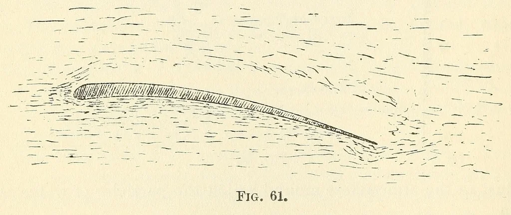 An illustration from Air service handbook, 1918, leaf 148