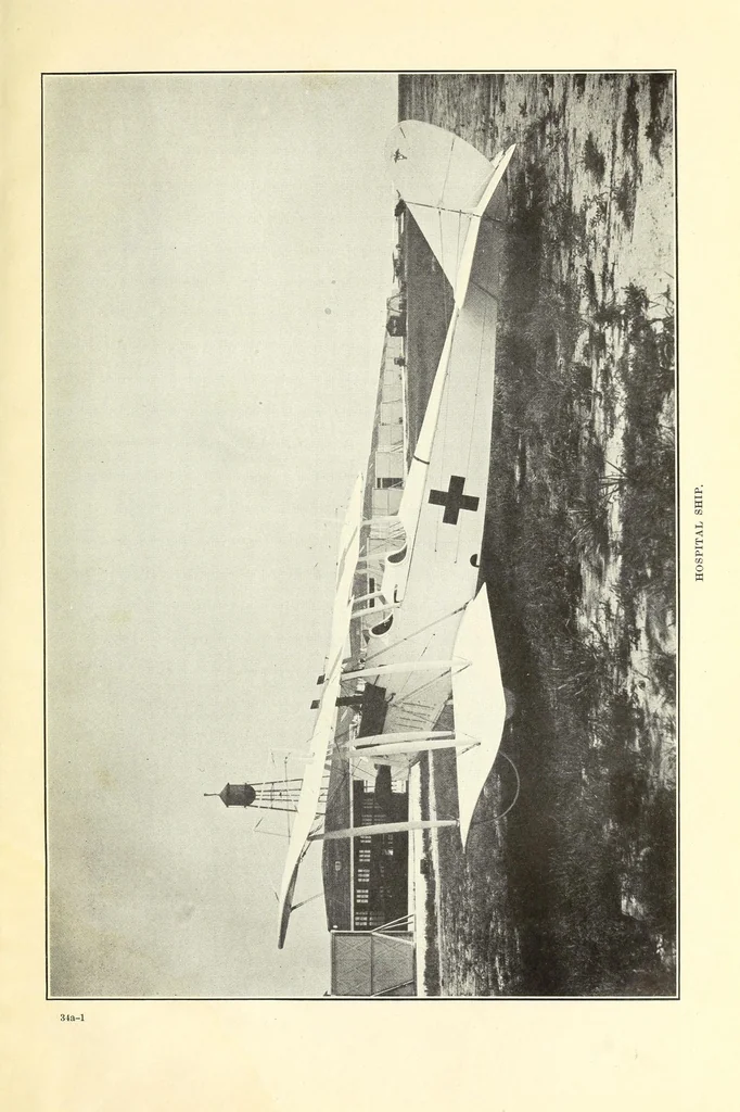 An illustration from Air service medical manual, 1918, leaf 93