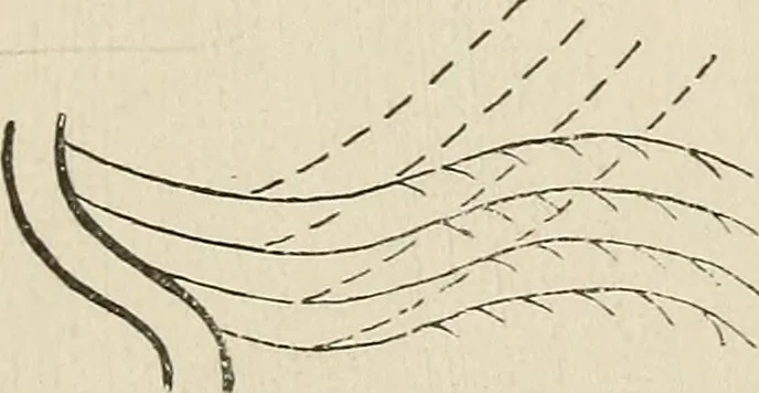 An illustration from Airships past and present, together with chapters on the use of balloons in connection with meteorology, photography and the carrier pigeon, 1908, leaf 112