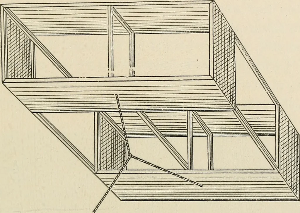 An illustration from Airships past and present, together with chapters on the use of balloons in connection with meteorology, photography and the carrier pigeon, 1908, leaf 138