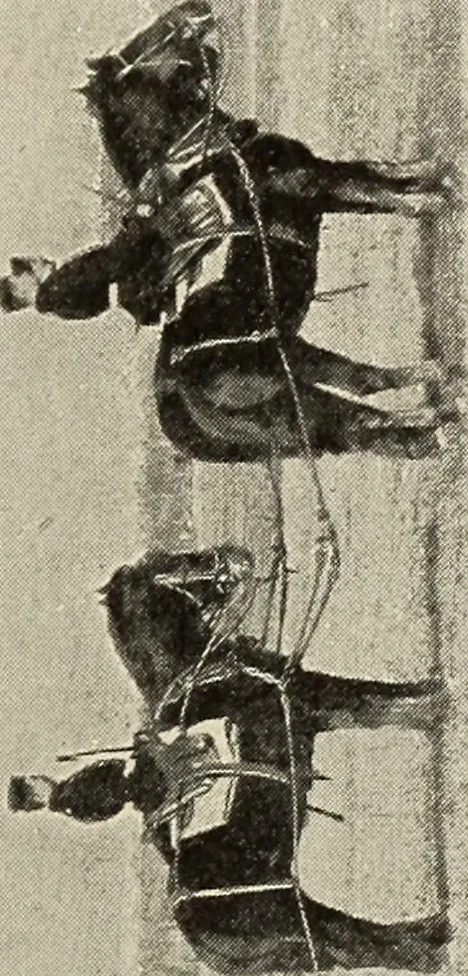 An illustration from Airships past and present, together with chapters on the use of balloons in connection with meteorology, photography and the carrier pigeon, 1908, leaf 170