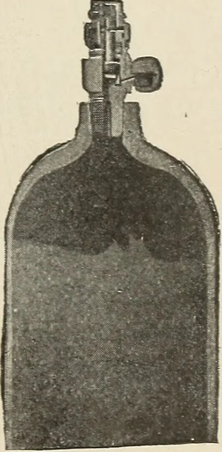 An illustration from Airships past and present, together with chapters on the use of balloons in connection with meteorology, photography and the carrier pigeon, 1908, leaf 200
