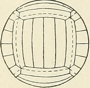 An illustration from Airships past and present, together with chapters on the use of balloons in connection with meteorology, photography and the carrier pigeon, 1908, leaf 203